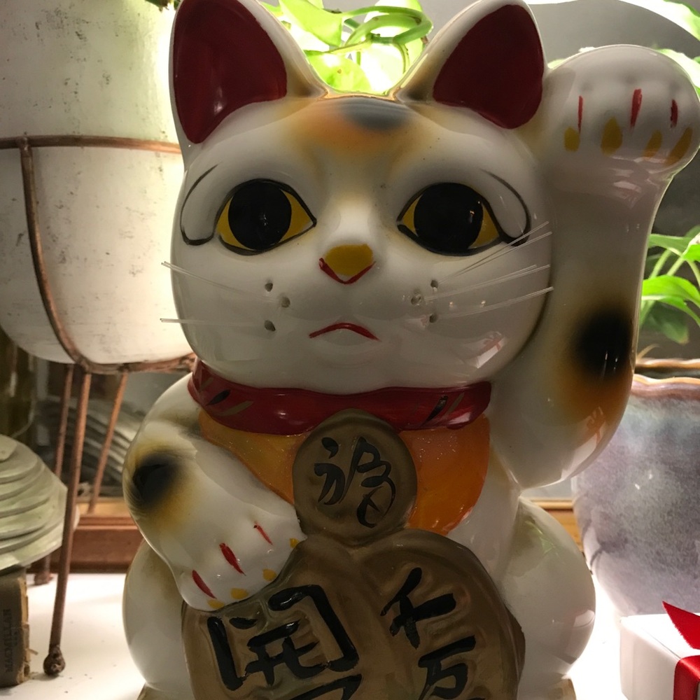 Meet your Posher, Darcie